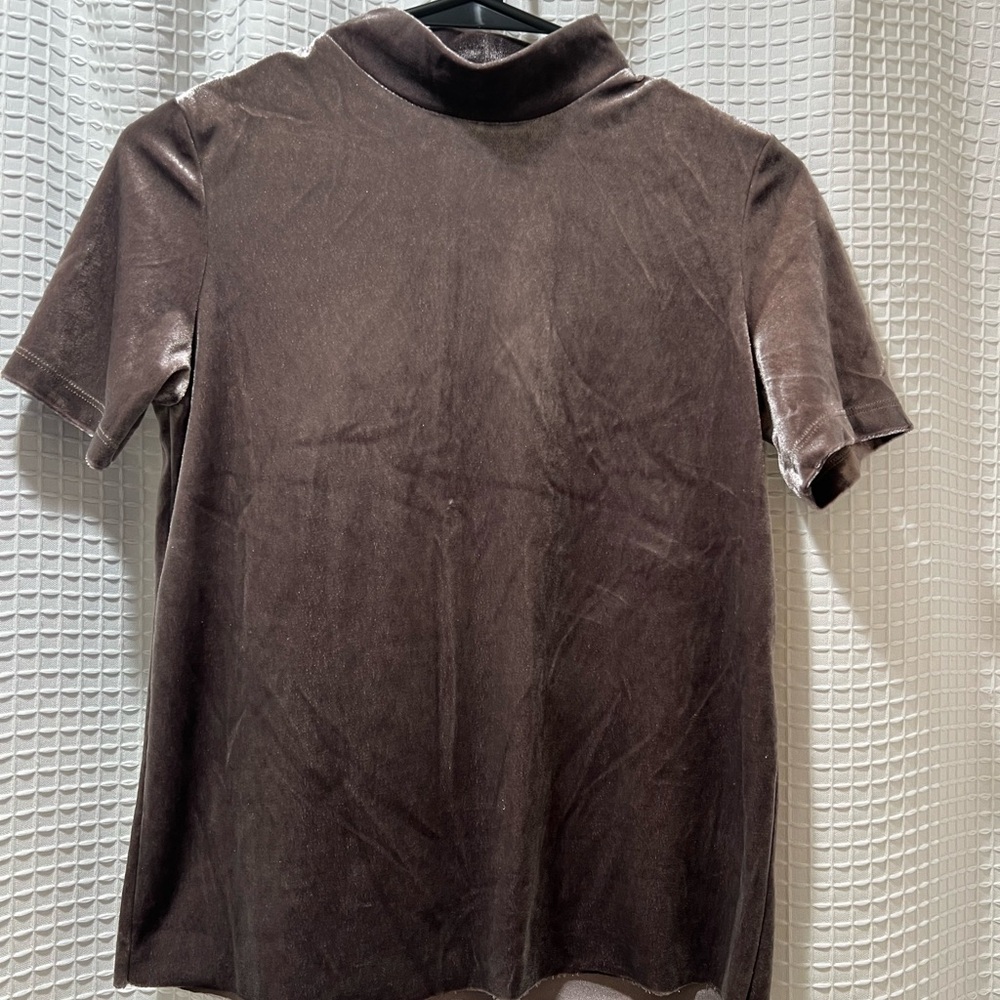 Zara Mauve Velvet Top